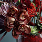 Interior Composition 25