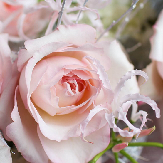 Триобукет «Нежный»