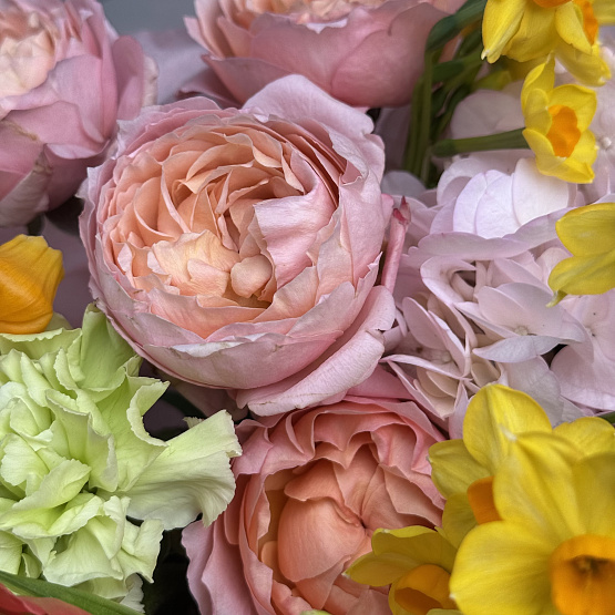 Тропическая весна 