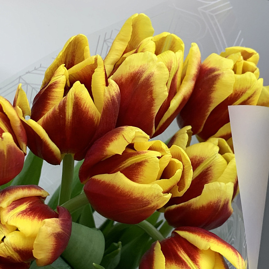 Огненная страсть 