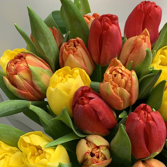 Яркие краски 