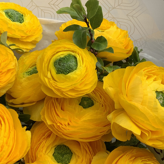 Солнечные кружева