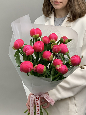 Поцелуй коралла