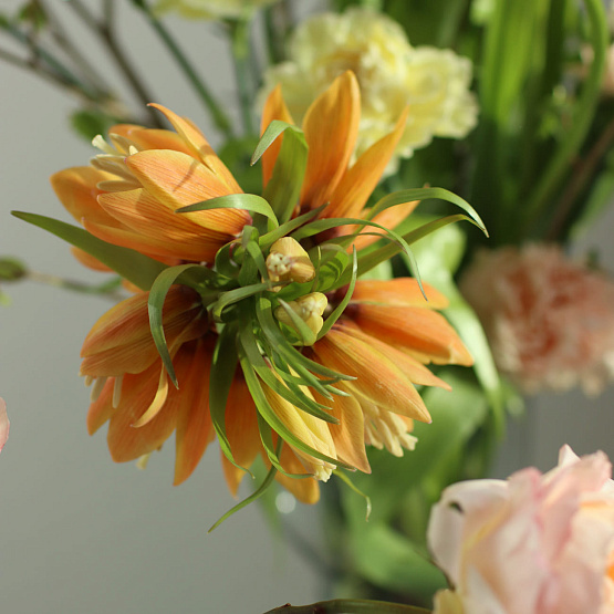 Композиция, сет №4