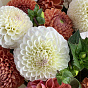 Дары июля