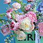 Flower box — Spring