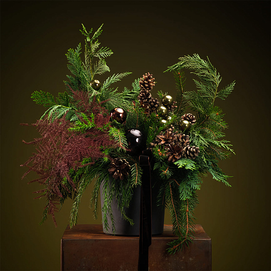 Сет №3 «Тайны леса»