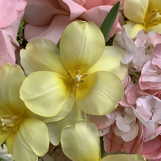 Момент весны 