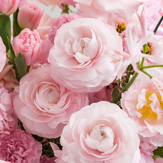 Сет «Трио любви»