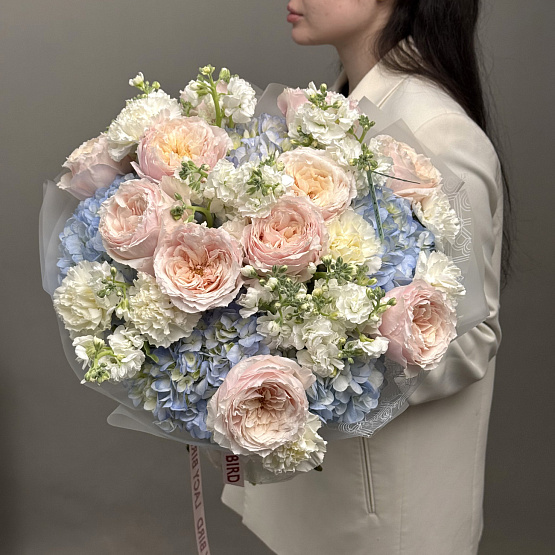 Чистый небосвод 