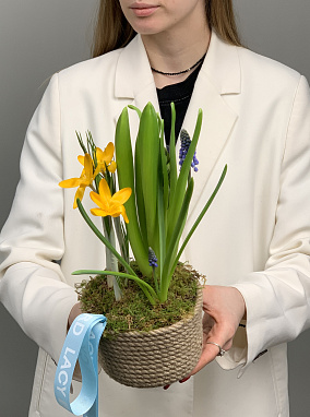 свежий ветерок