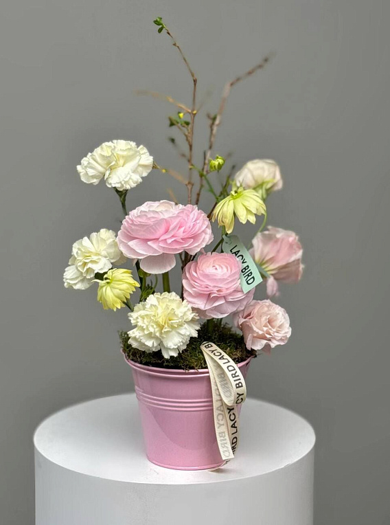 The sound of tenderness