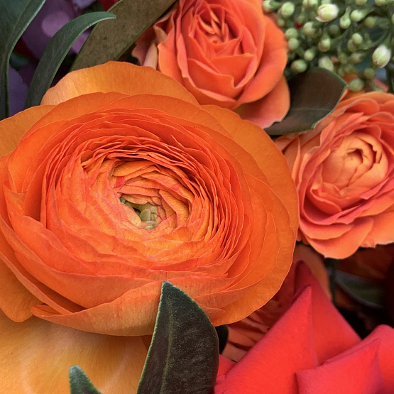 Поляна красок