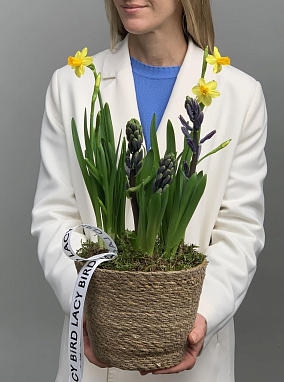 Кашпо с первоцветами S