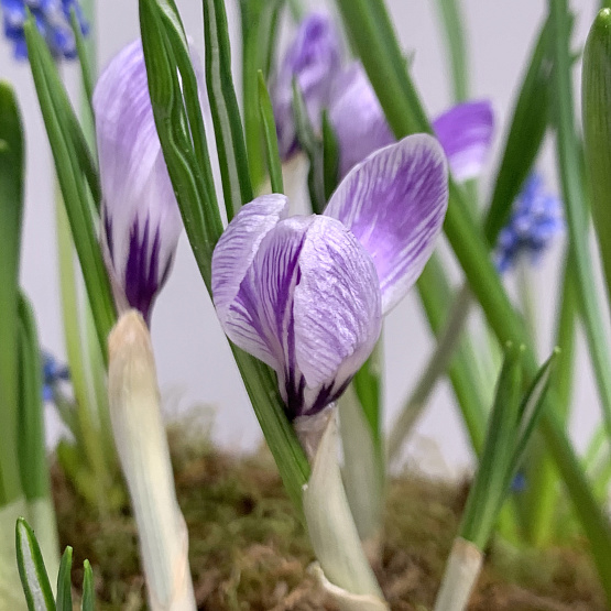 на солнечном склоне