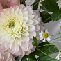 Summer tenderness