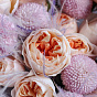 Garden Roses and Chrysanthemums Duo Bouquet