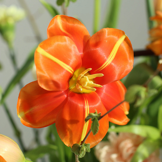 Композиция, сет №4