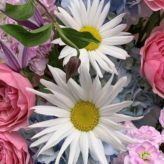 Радужное мгновение