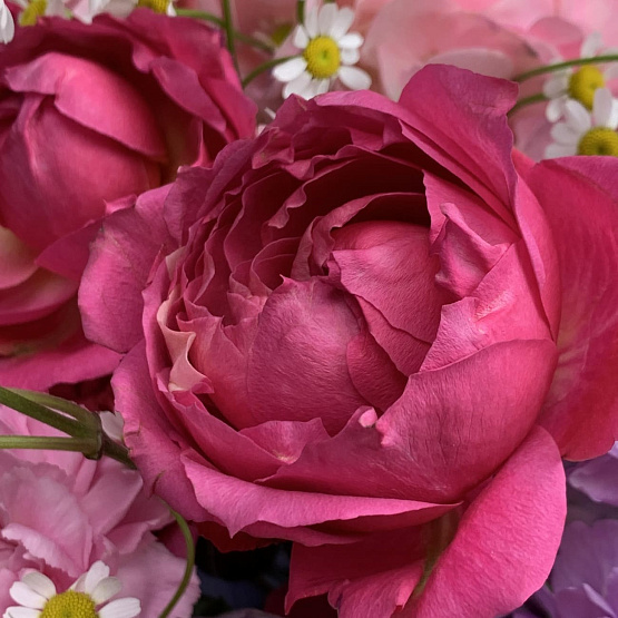 Малиновое парфе 