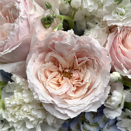 Чистый небосвод 