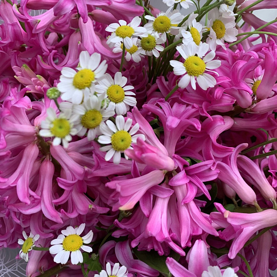 Малиновый рассвет 