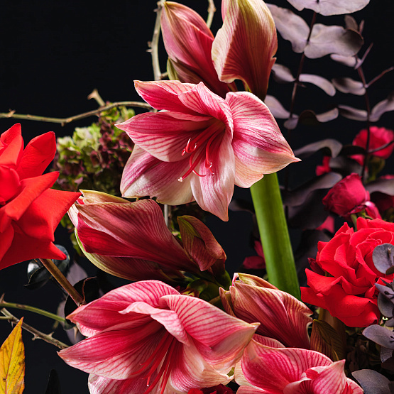 Букет недели «Тайны Хеллоуина»