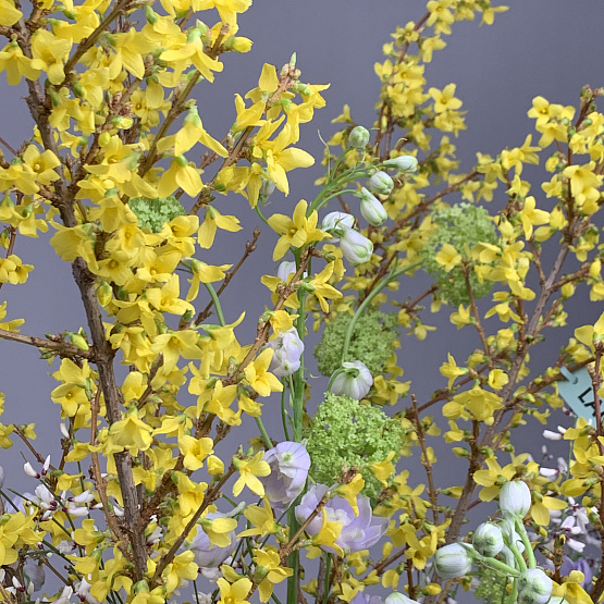 Полёт весны