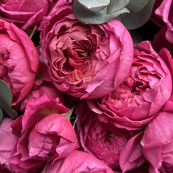 Радость встречи 