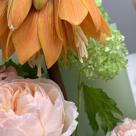 Свежая нота 