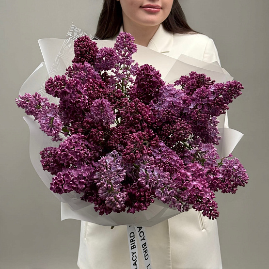 Монобукет из сирени