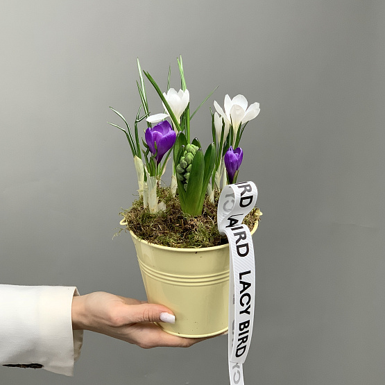 звонкая капель