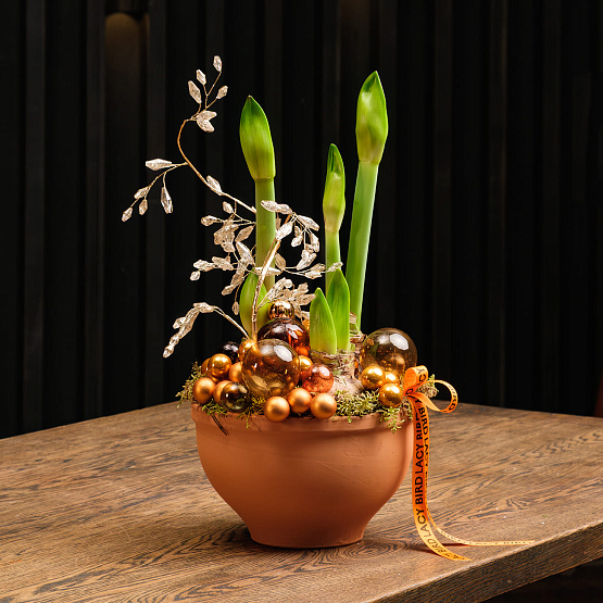 Композиция с амариллисами «Пряности и сладости»