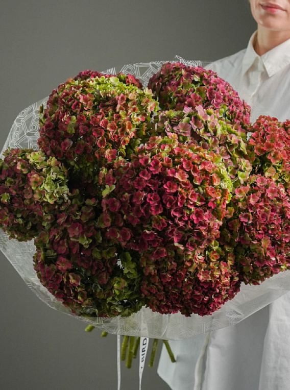 Монобукет из гортензии