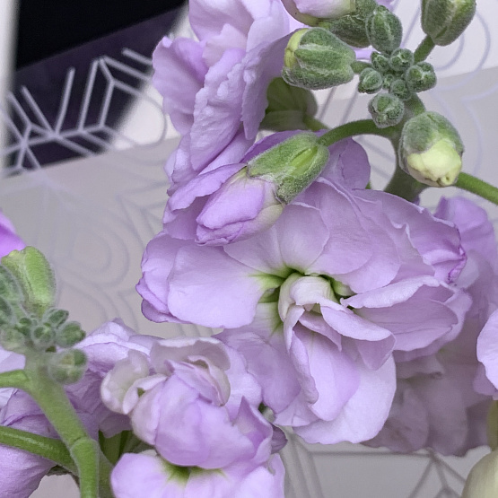 Романтическая история