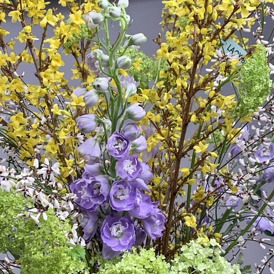 Полёт весны