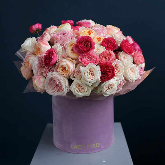 101 Garden Roses Mix