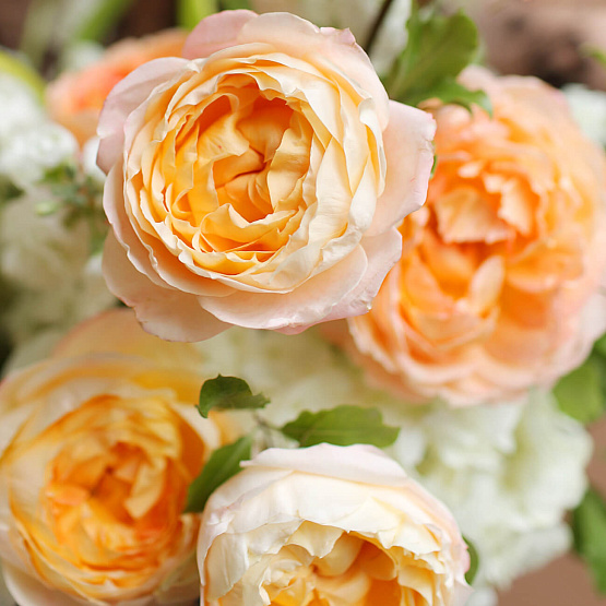 Коробка с цветами «Оттепель»