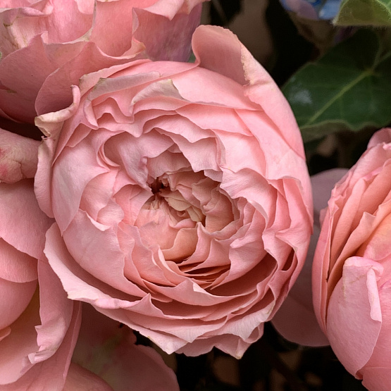 Весенний мотив