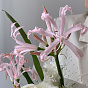 Касание лета