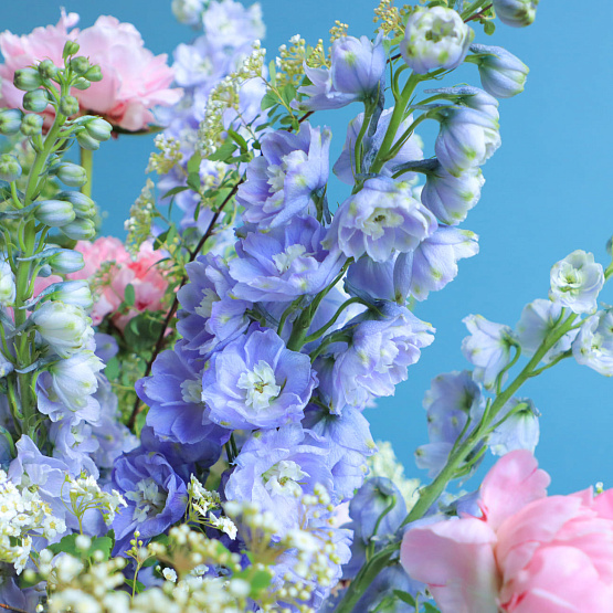 Flower box — Spring