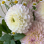 Summer tenderness