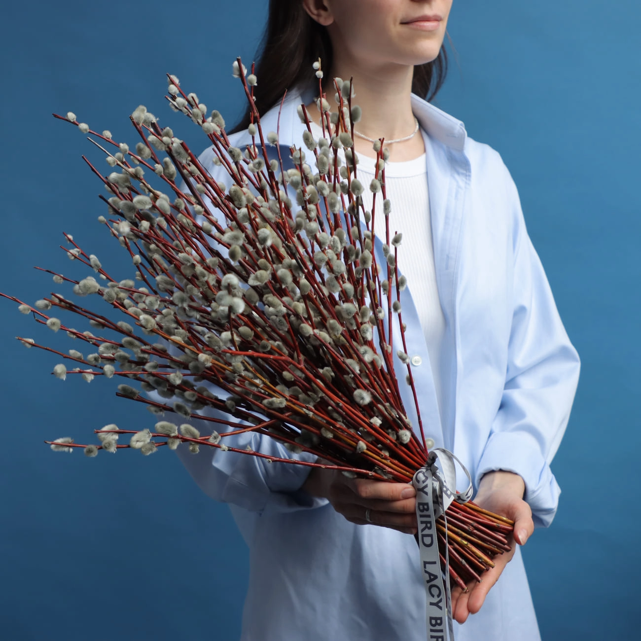 Веточки вербы 50 см.