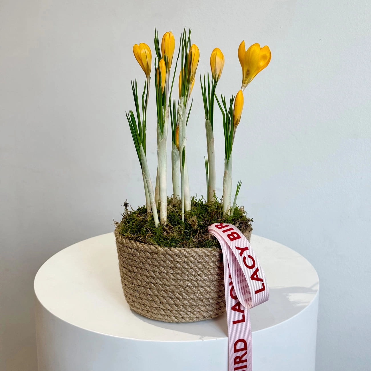 Крокусы в корзине