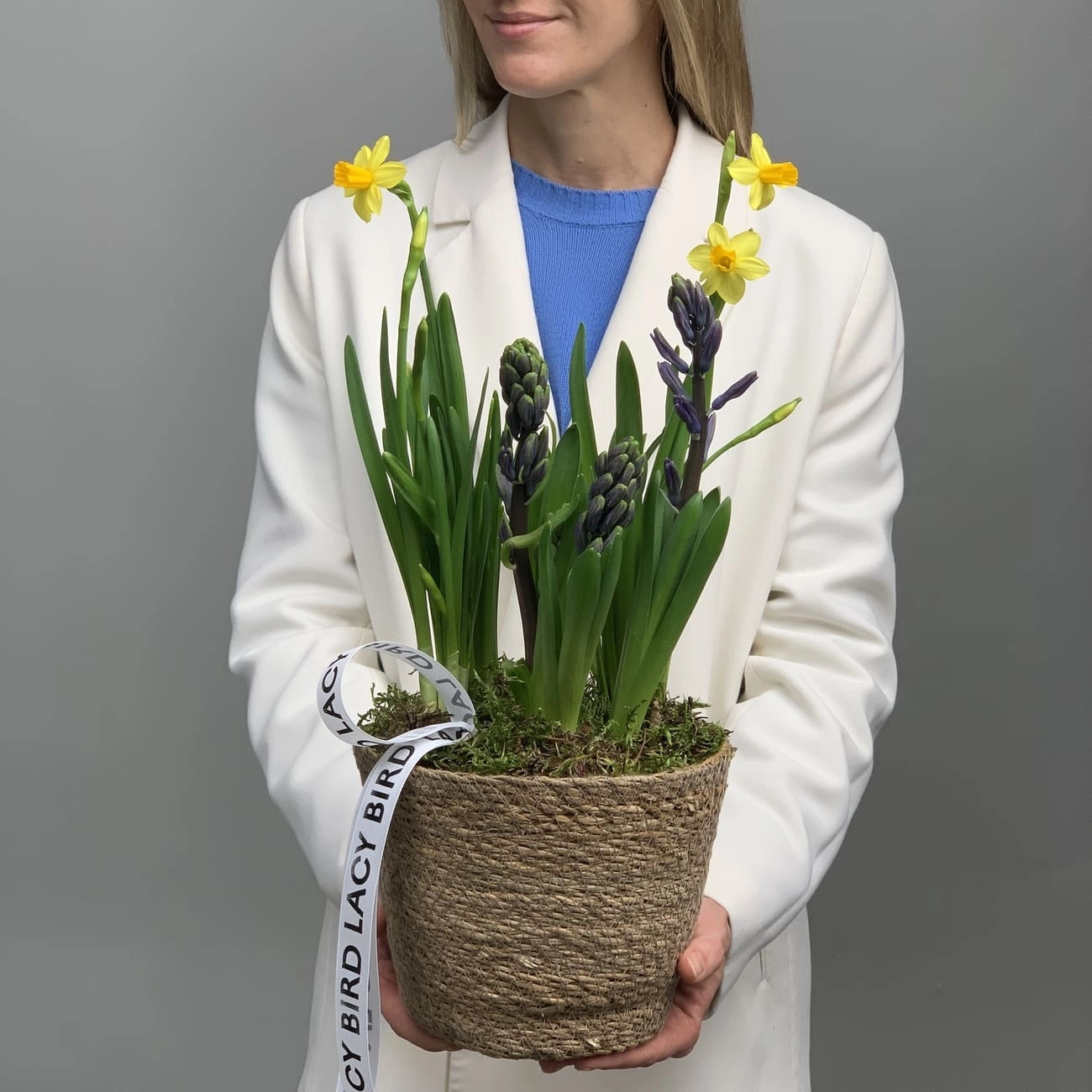 Кашпо с первоцветами S