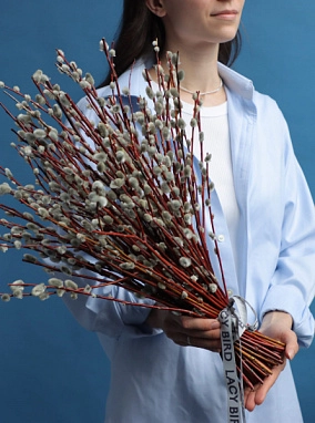 Веточки вербы 50 см.