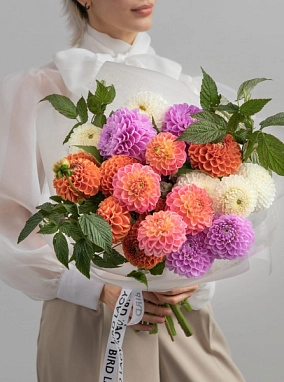 Микс из георгинов