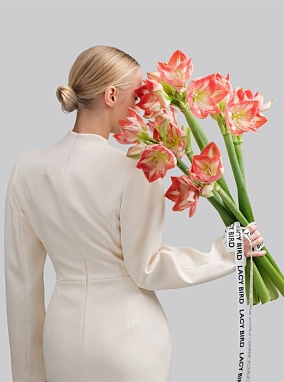 Амариллисы в вазу